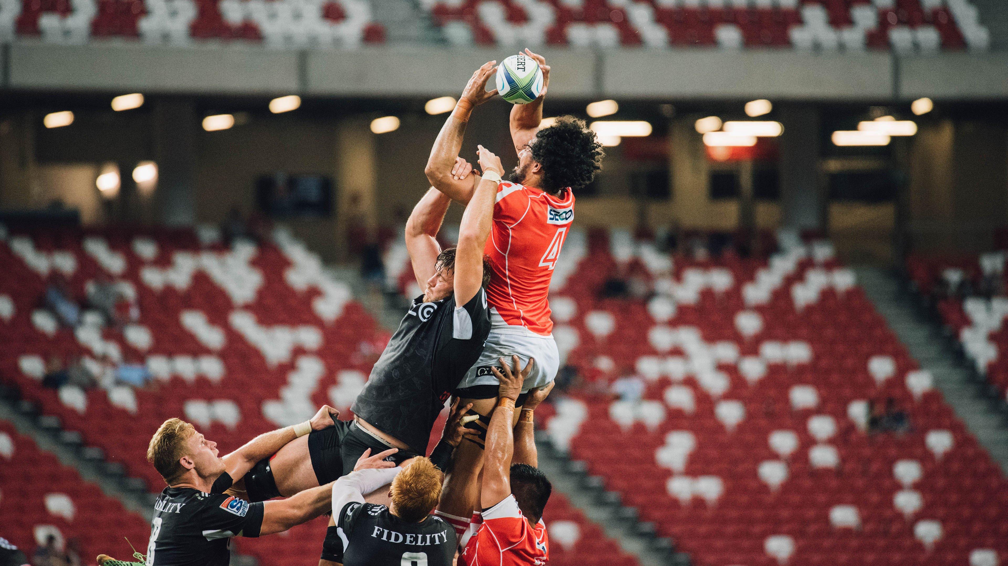 2月8日UFC焦点战，包蒂斯塔强势终结奥利维拉，雏量级格局再起波澜